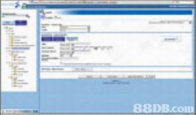 地方软件开发和技术服务 区域创新与数字化转型的引擎